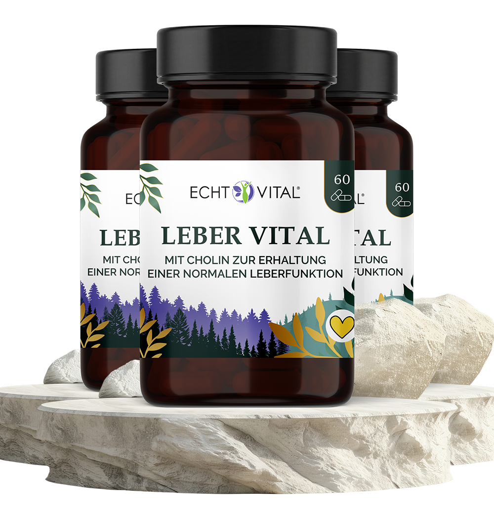 Leber Vital mit 9 Pflanzenstoffen - ECHT VITAL Premium Qualität